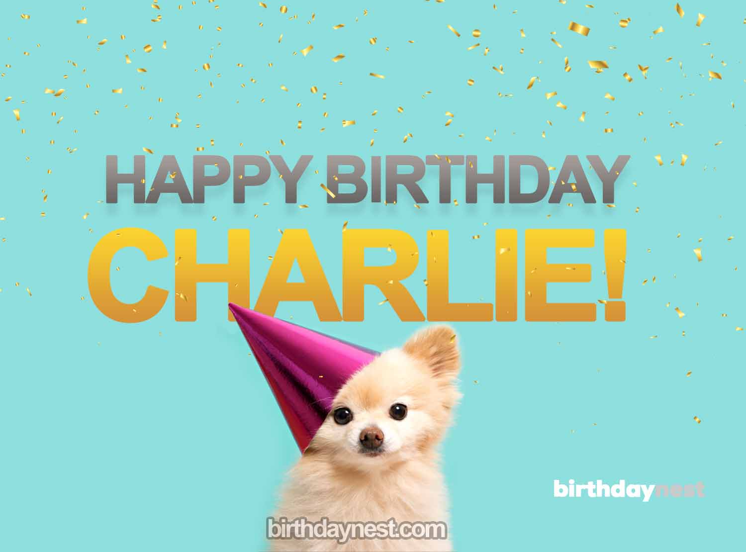 Charlie Birthday Meme