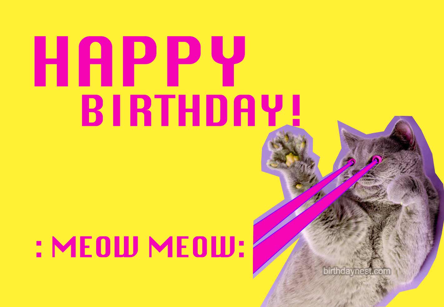 Crazy Cat Birthday Meme